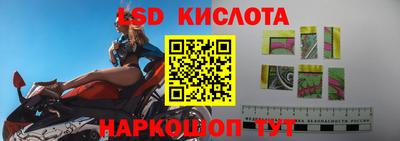 гидра Кандалакша