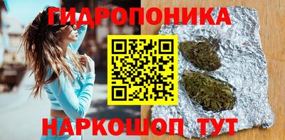 гидра Кандалакша