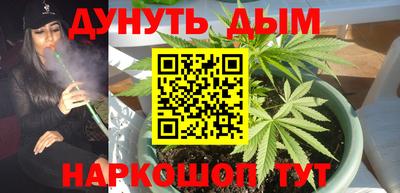 гидра Кандалакша