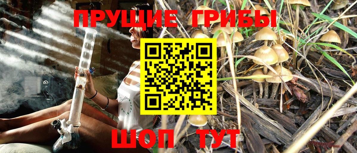 Псилоцибиновые грибы ЛСД  Вход с VPN  Галлюциногенные грибы Psilocybe  Ленинск-Кузнецкий 